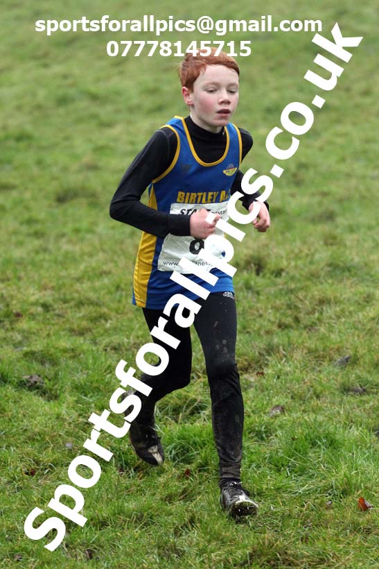 Boys under-13s, NECAA Junior Cross Country Relays, Thornley Farm, Peterlee, Saturday, December 12th. Photo: David T. Hewitson/Sports for All Pics